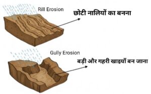 DElEd 2nd Semester Science Chapter 2 मृदा तथा फसलें