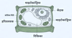 2nd Sem Science : लघु उत्तरीय प्रश्न