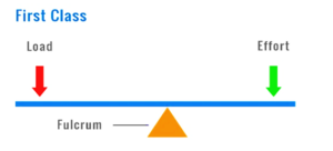 DElEd 2nd Semester Science : Chapter-4 : सरल मशीनें 