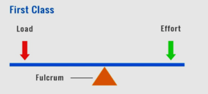 UP DElEd 2nd Semester Science Solved Paper 2020 